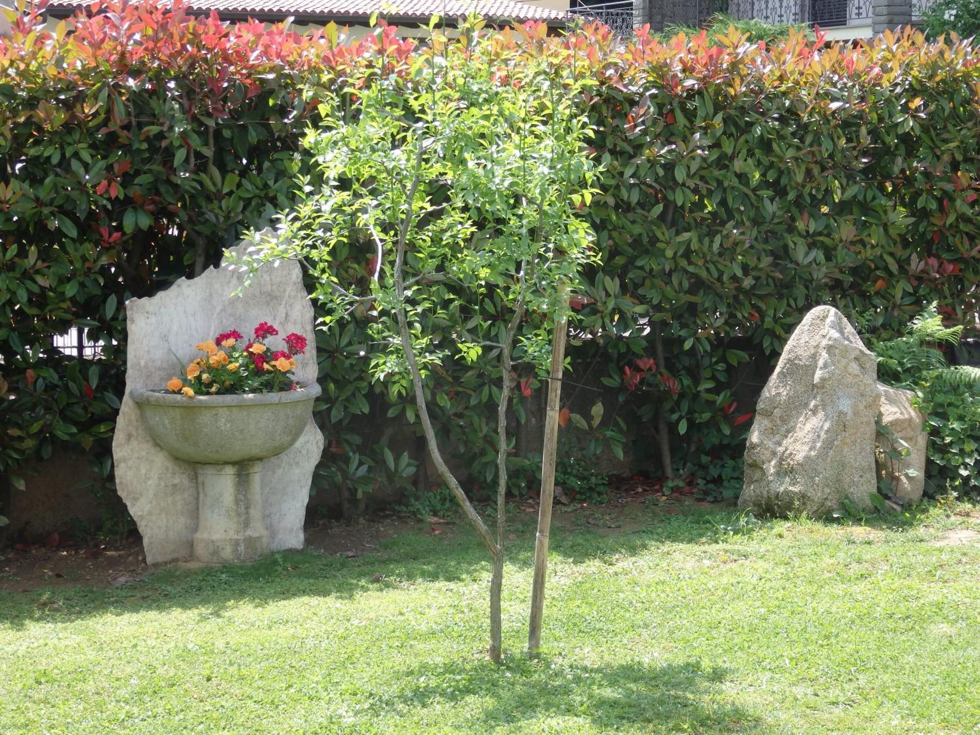 Bed and Breakfast Riflessi D'Arte Provaglio d'Iseo Exterior foto